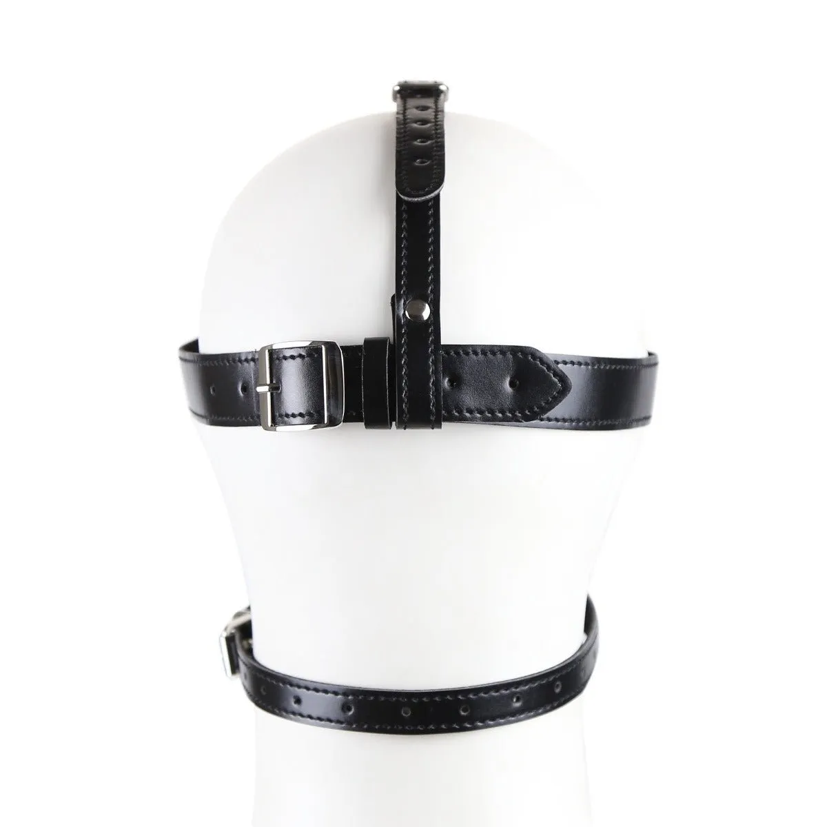 Blind Trust Gag Leather Bondage Mask with Ball Gag & Blindfold