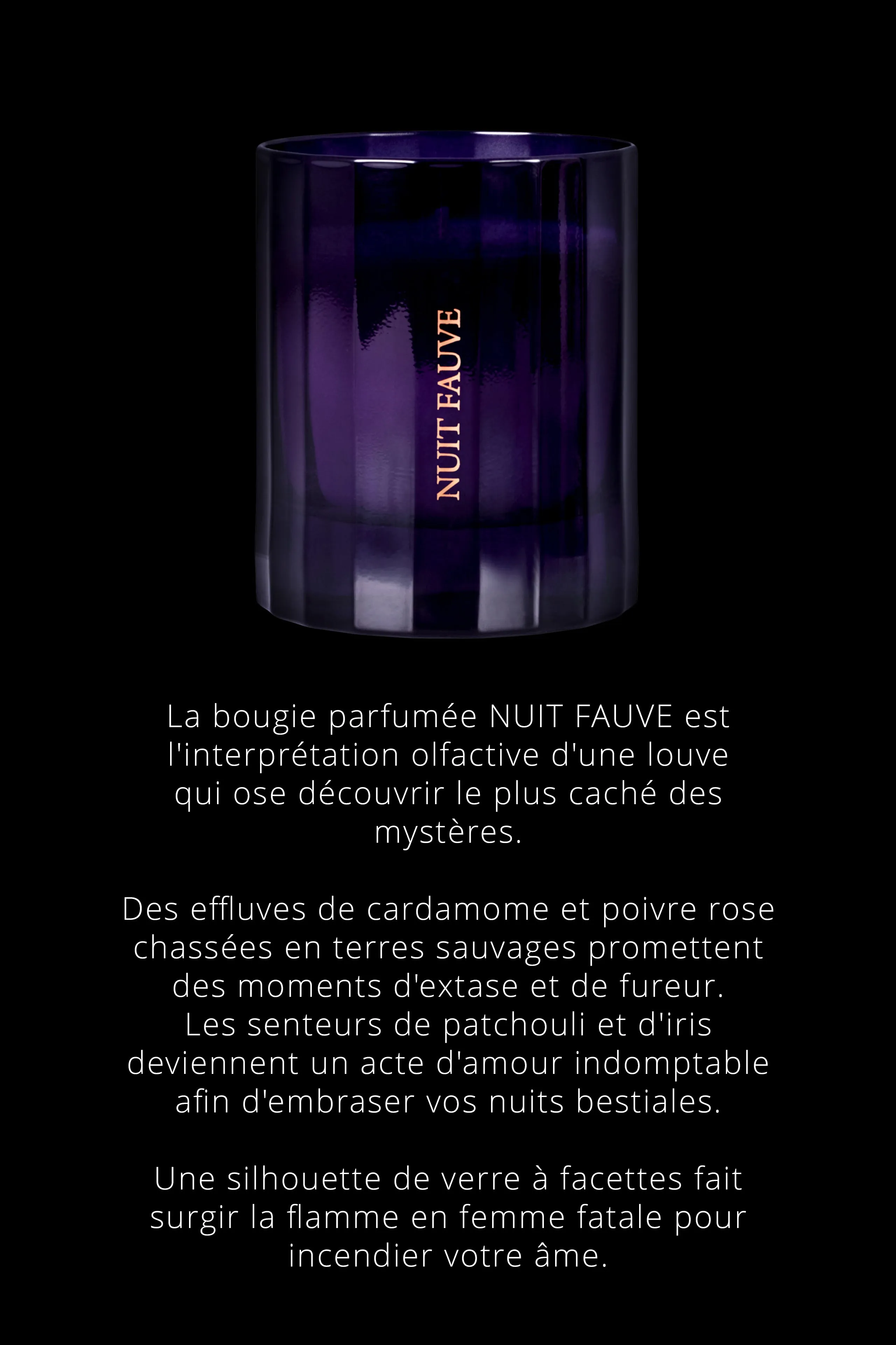 Candle with Chypre notes - Nuit Fauve