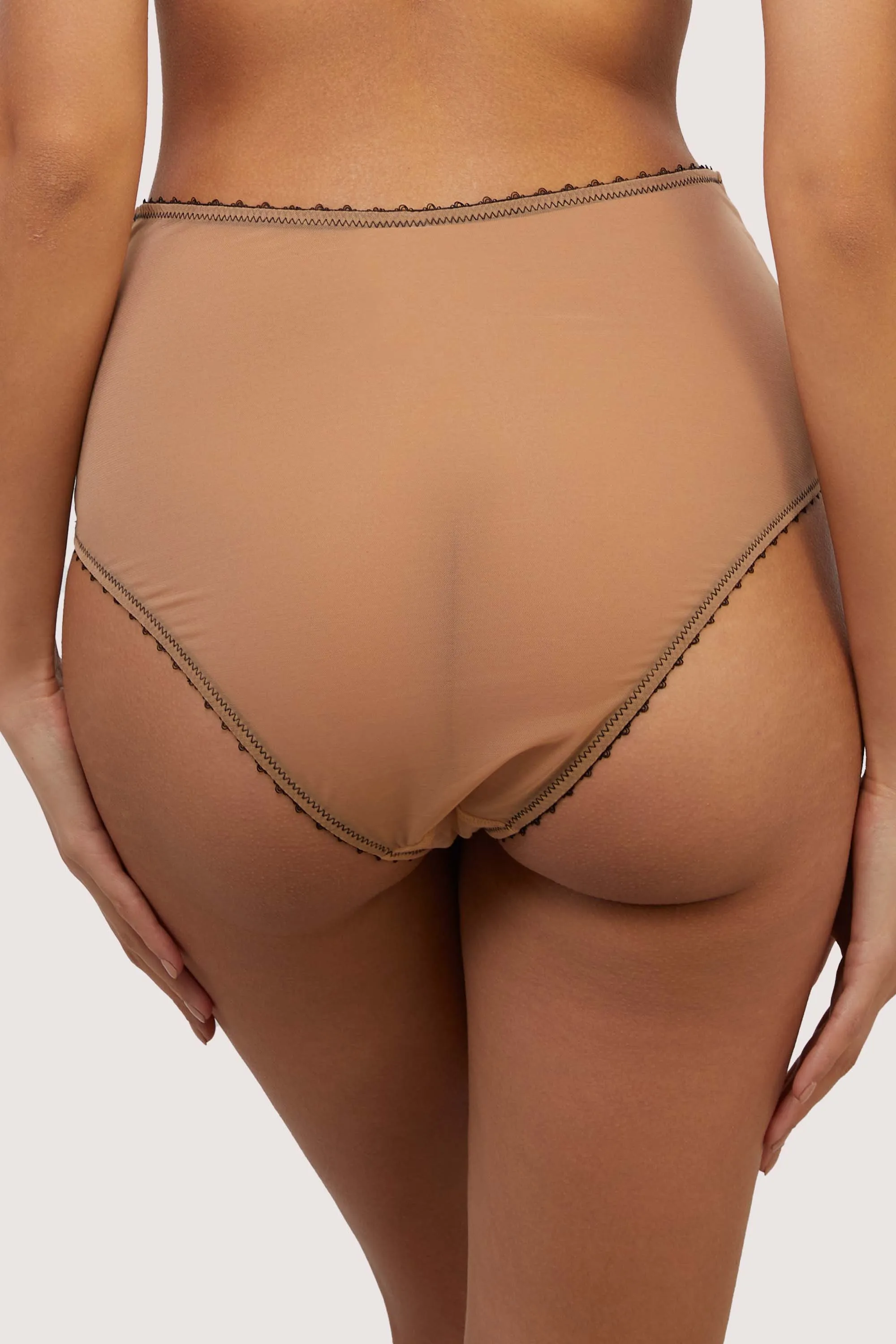 Esme Illusion Net and Fringe High Waisted Brief