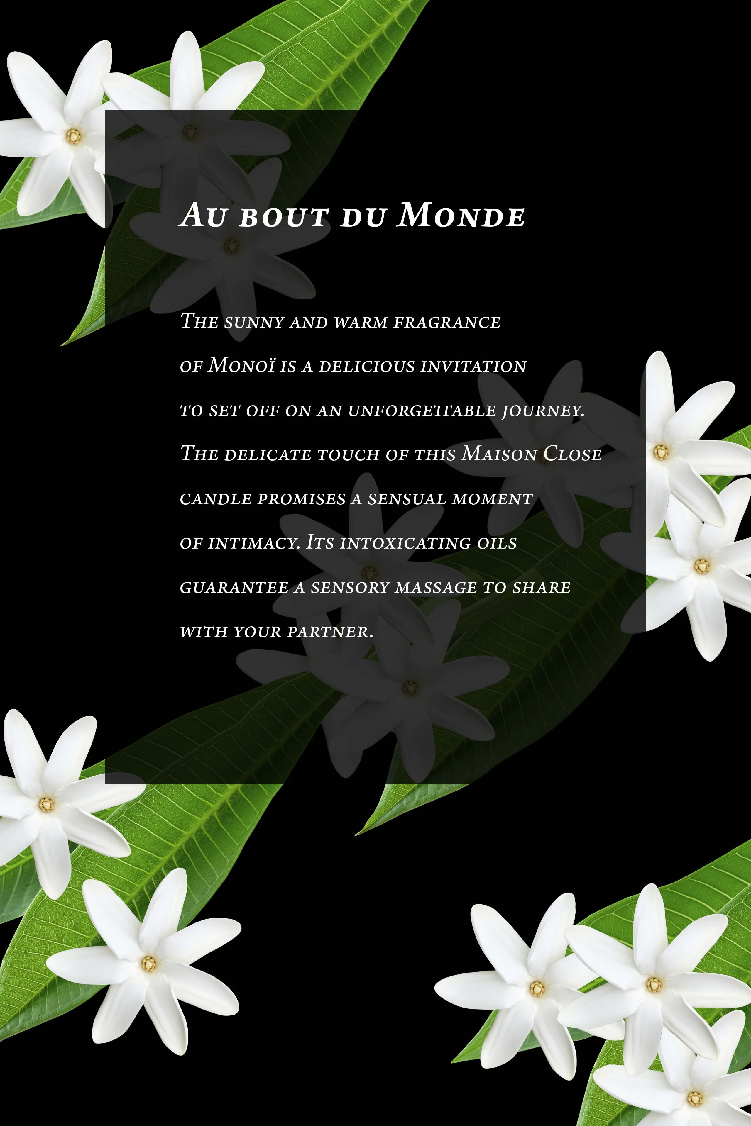 Massage Candle -  - Monoï - Au Bout du Monde