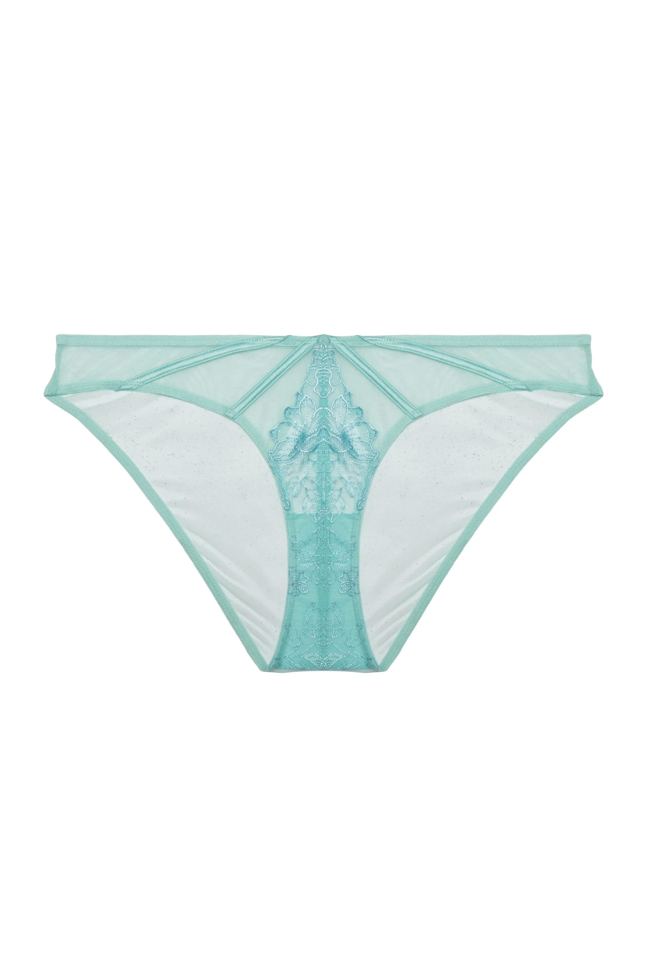 Valerie Aqua Embroidery & Mesh Brief