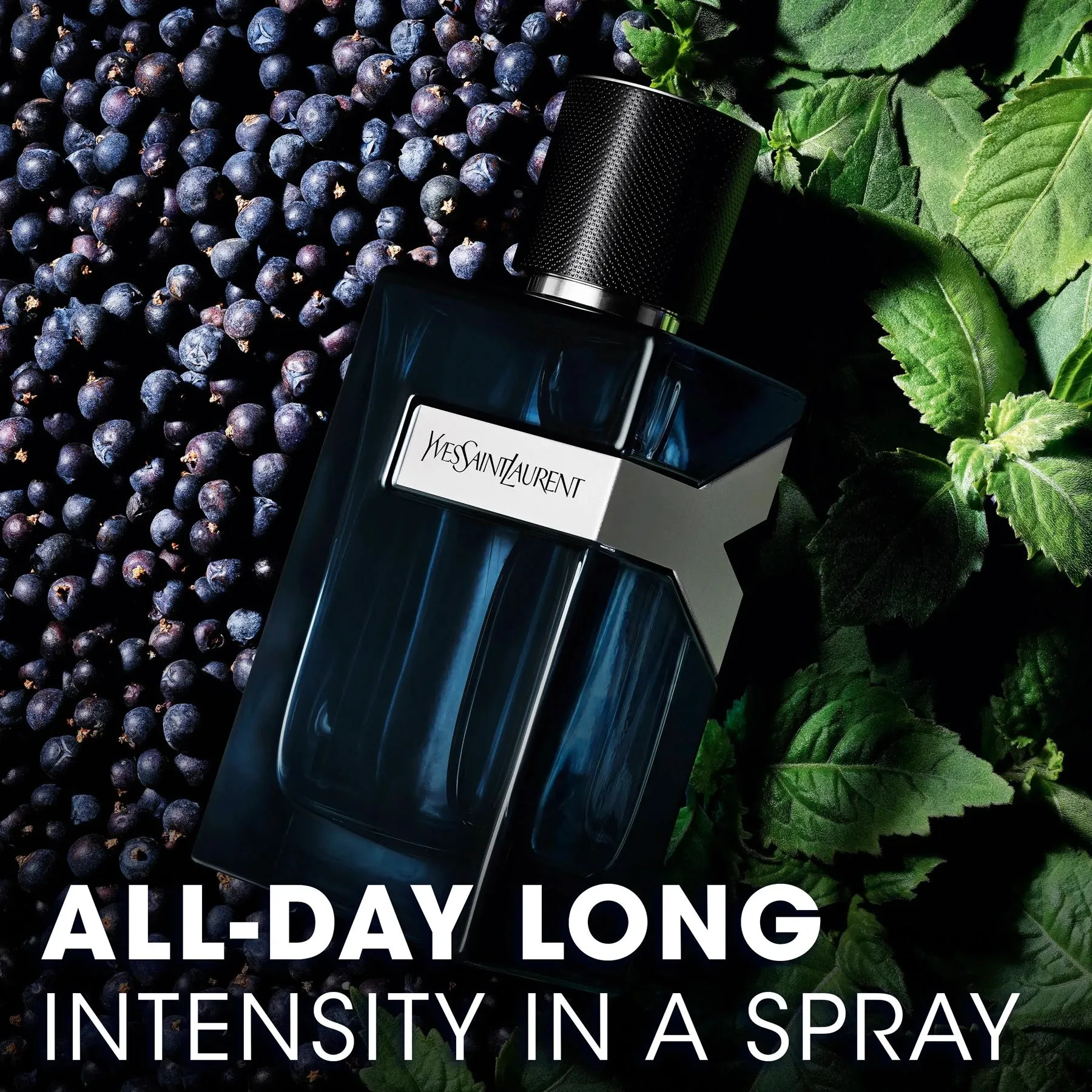 YSL Y Intense 3.4 oz EDP for men